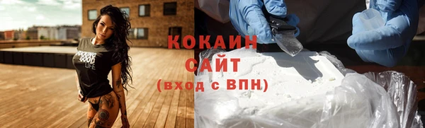 молекула духа Алексеевка