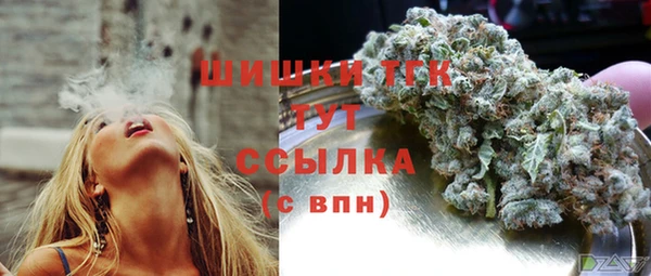 молекула духа Алексеевка