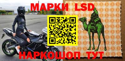 гидропоника Вязьма