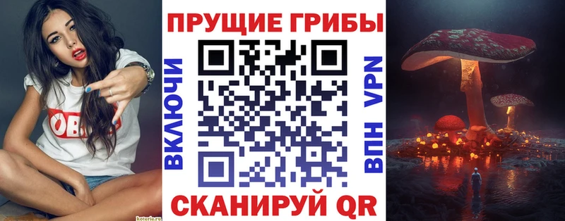 Псилоцибиновые грибы Cubensis  Салават 
