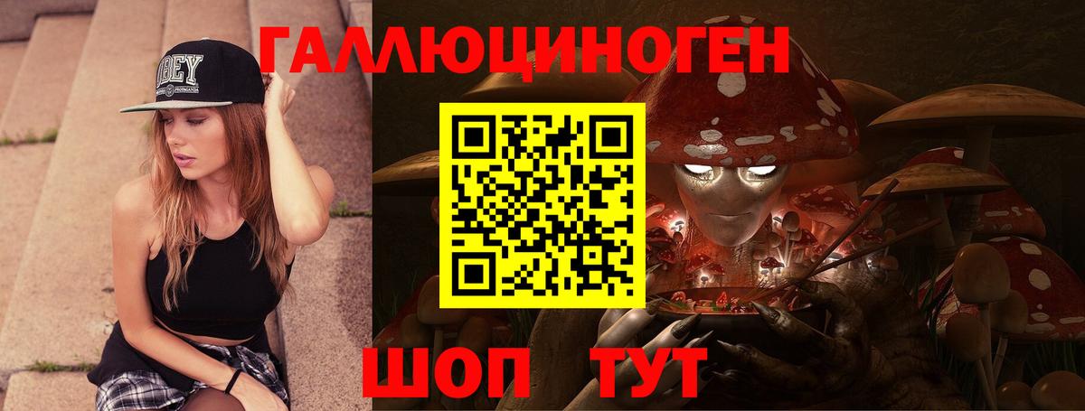 Псилоцибиновые грибы Psilocybine cubensis Салават