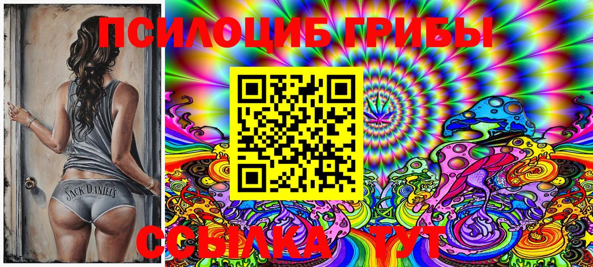 Галлюциногенные грибы Psilocybine cubensis  Галлюциногенные грибы мухоморы  Вход с VPN  Салават 